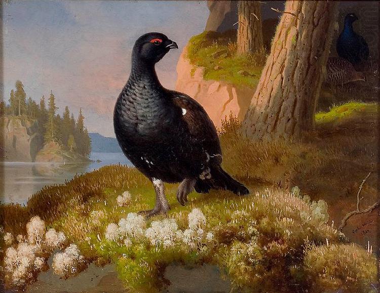 Black Grouses 1864, Ferdinand von Wright